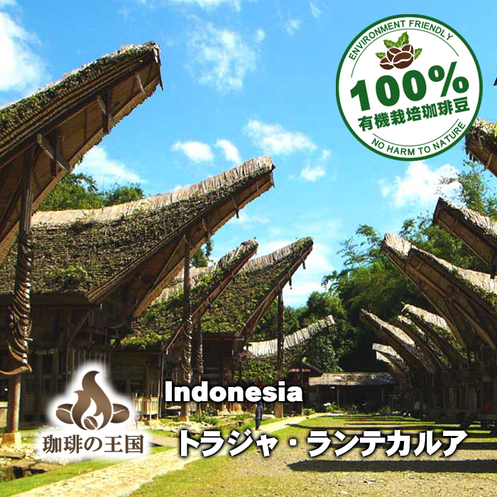 【今月のサービス豆】トラジャ・ランテカルア(200g)有機栽培コーヒー豆