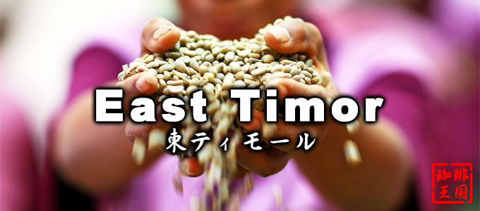 【今月のサービス豆】有機 東ティモール(200g)FT