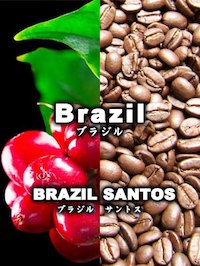 【先月のサービス豆】ブラジル・サントス(200g)