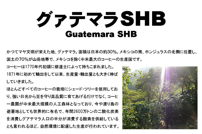 【先月のサービス豆】グァテマラ・アティトゥラン(200g)有機栽培コーヒー豆
