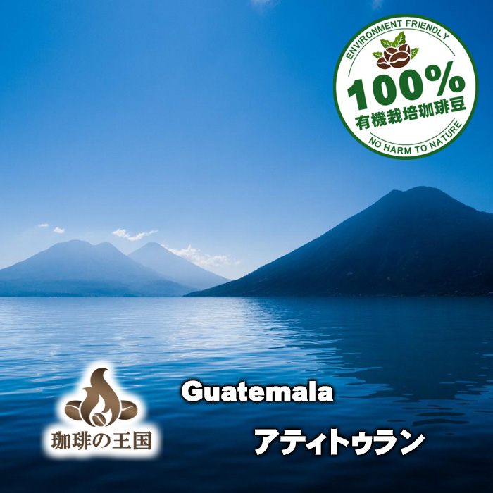 【今月のサービス豆】グァテマラ・アティトゥラン(200g)有機栽培コーヒー豆